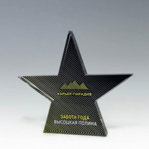 Корпоративный приз из акрила в форме звезды "Забота года"